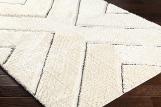 Surya Bologna BOG-2319 Area Rug Corner Shot