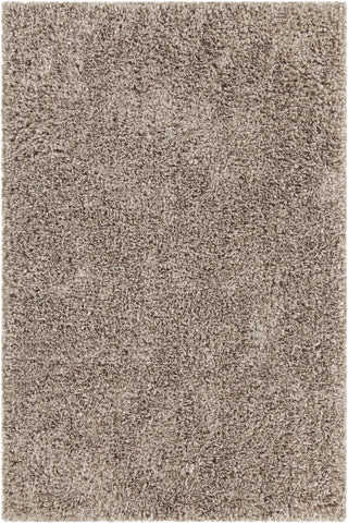 Chandra Bolero BOL-51301 Tan Area Rug main image