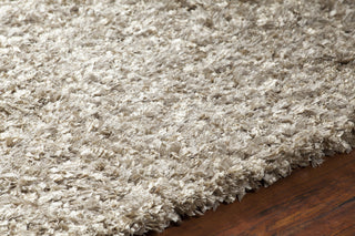 Chandra Bolero BOL-51301 Tan Area Rug Detail