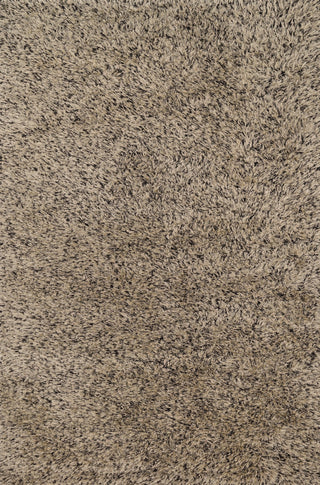 Loloi Boyd BO-01 Beige / Black Area Rug main image