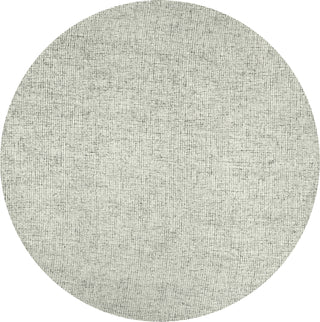 Rizzy Brindleton BR350A Area Rug 