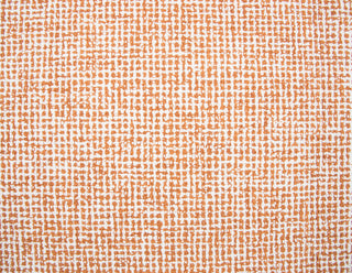 Rizzy Brindleton BR652A Orange Area Rug 