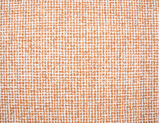 Rizzy Brindleton BR652A Orange Area Rug Runner Image