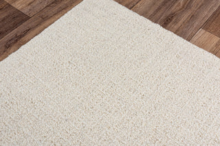 Rizzy Brindleton BR859A White/White Area Rug