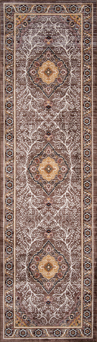 Momeni Brighton BR-01 Brown Area Rug Runner Image