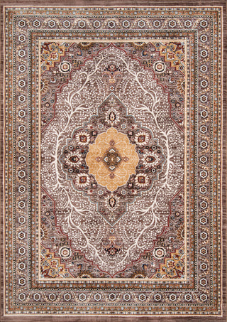 Momeni Brighton BR-01 Brown Area Rug main image