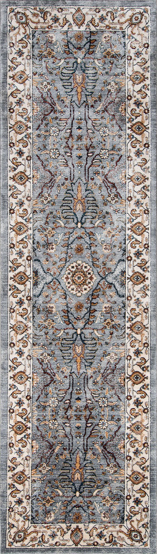 Momeni Brighton BR-02 Blue Area Rug Runner Image