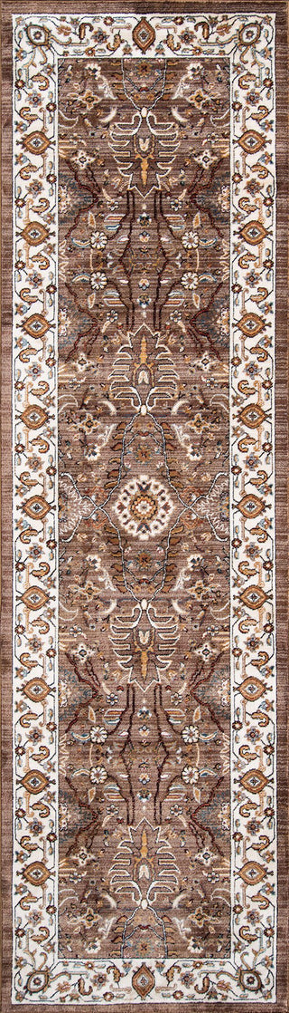 Momeni Brighton BR-02 Brown Area Rug Runner Image