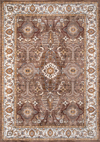 Momeni Brighton BR-02 Brown Area Rug main image