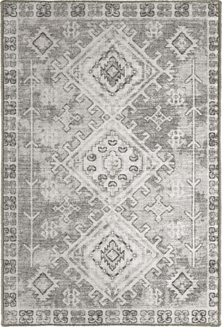 Dalyn Brisbane BR2 Silver Area Rug main image