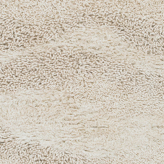 Surya Berkley BRK-3300 Ivory Shag Weave Area Rug Sample Swatch