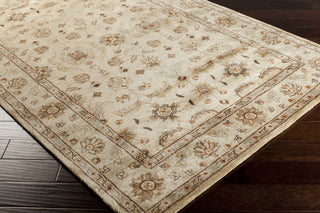 Surya Brilliance BRL-2005 Area Rug 5x8 Corner Feature
