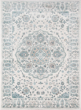 Momeni Brooklyn Heights BH-04 Ivory Area Rug main image