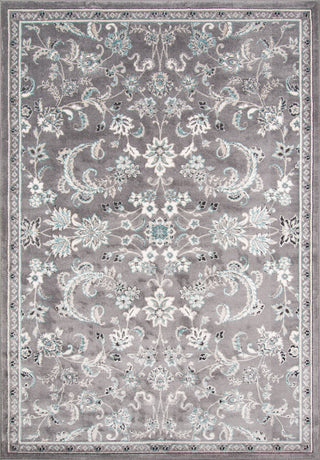 Momeni Brooklyn Heights BH-05 Grey Area Rug main image