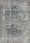 Rizzy Bristol BRS106 Beige/Blue Area Rug main image