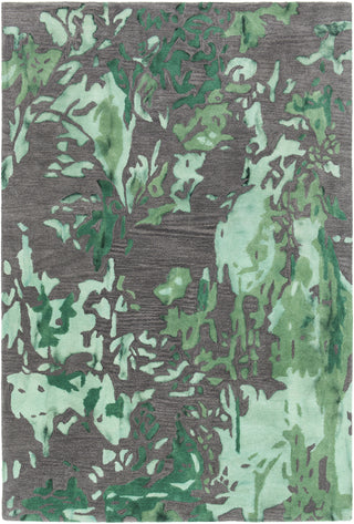 Chandra Brynn BRY-42701 Green/Charcoal Area Rug main image