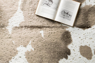 Loloi II Bryce BZ-06 Taupe/Champagne Area Rug Lifestyle Image