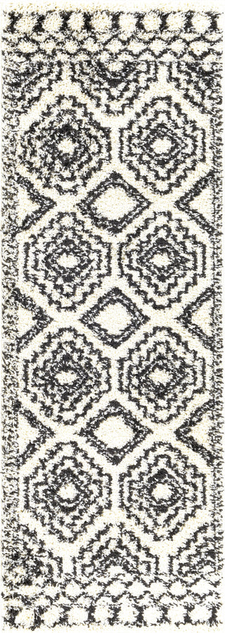 Surya Beni Shag BSH-2300 Area Rug 