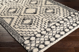 Surya Beni Shag BSH-2300 Area Rug Corner Shot