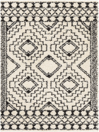 Surya Beni Shag BSH-2300 Area Rug main image