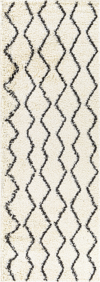 Surya Beni Shag BSH-2301 Area Rug 