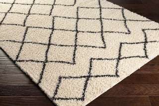 Surya Beni Shag BSH-2301 Area Rug Corner Shot