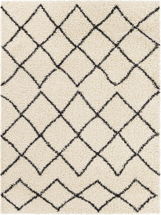 Surya Beni Shag BSH-2301 Area Rug main image