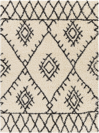 Surya Beni Shag BSH-2303 Area Rug main image