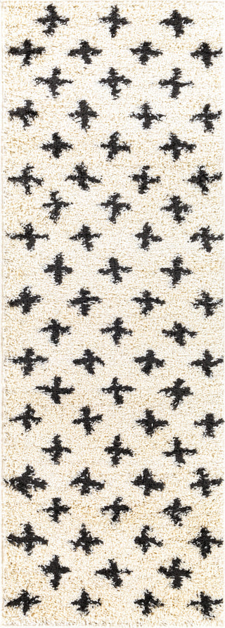 Surya Beni Shag BSH-2304 Area Rug 