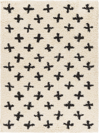 Surya Beni Shag BSH-2304 Area Rug main image