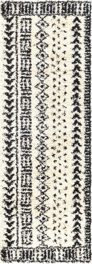 Surya Beni Shag BSH-2305 Area Rug 