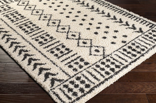 Surya Beni Shag BSH-2305 Area Rug Corner Shot