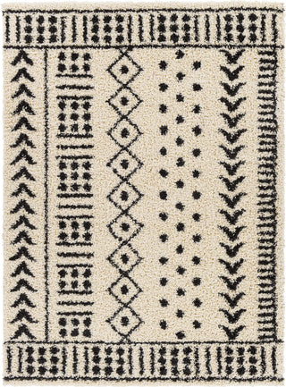 Surya Beni Shag BSH-2305 Area Rug main image