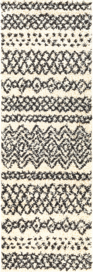 Surya Beni Shag BSH-2307 Area Rug 