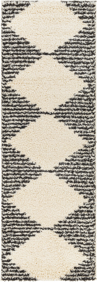 Surya Beni Shag BSH-2308 Area Rug 