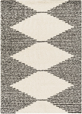 Surya Beni Shag BSH-2308 Area Rug main image