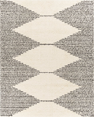 Surya Beni Shag BSH-2308 Area Rug 