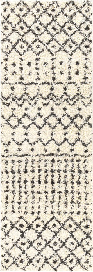 Surya Beni Shag BSH-2309 Area Rug 