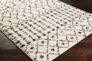 Surya Beni Shag BSH-2309 Area Rug Corner Shot