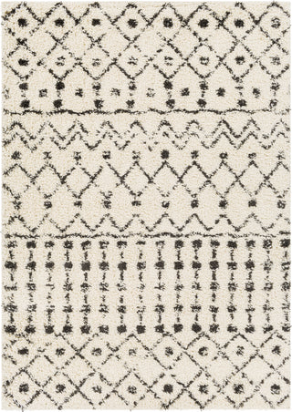 Surya Beni Shag BSH-2309 Area Rug main image