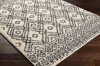 Surya Beni Shag BSH-2310 Area Rug Corner Shot