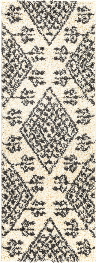 Surya Beni Shag BSH-2311 Area Rug 