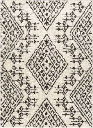 Surya Beni Shag BSH-2311 Area Rug main image