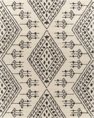 Surya Beni Shag BSH-2311 Area Rug 