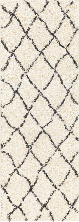 Surya Beni Shag BSH-2312 Area Rug 