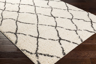 Surya Beni Shag BSH-2312 Area Rug Corner Shot