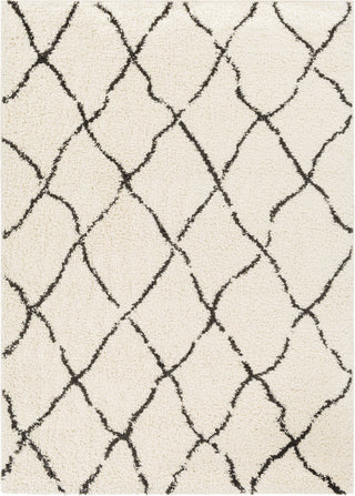 Surya Beni Shag BSH-2312 Area Rug main image