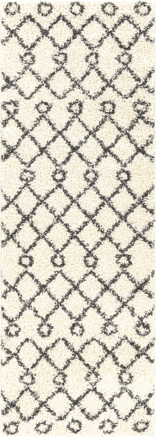 Surya Beni Shag BSH-2313 Area Rug 