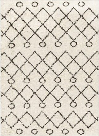 Surya Beni Shag BSH-2313 Area Rug main image