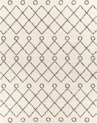 Surya Beni Shag BSH-2313 Area Rug 